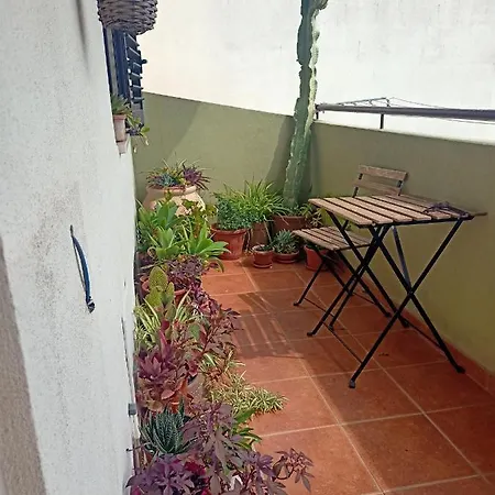 Apartamento Nice